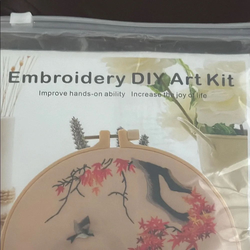 Embroidery DIY Art Kit Vibrant Red and Orange Art